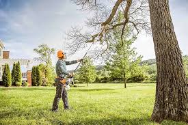 Best Arborist Consultation Services  in Bellmore, NY